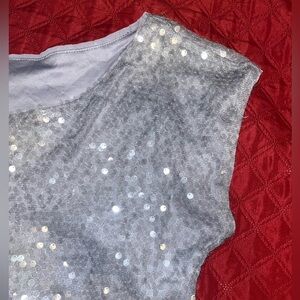 Light Gray ish sequined short sleeve top